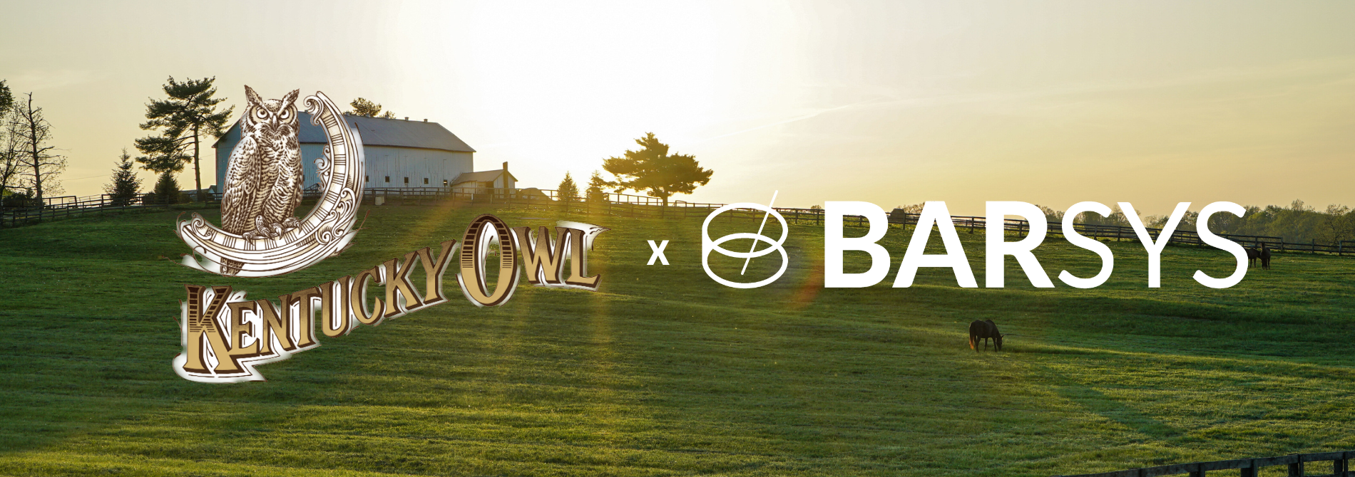 Kentucky Owl Bourbon: Sip, Savor, and Celebrate the American Spirit